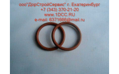 Кольцо уплотнительное втулки форсунки D12 фото Россия