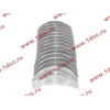 Вкладыши коренные двигателя CA6DL2 (36D) F FAW (ФАВ) 1002034A36D/1002035A36D для самосвала фото 3 Россия